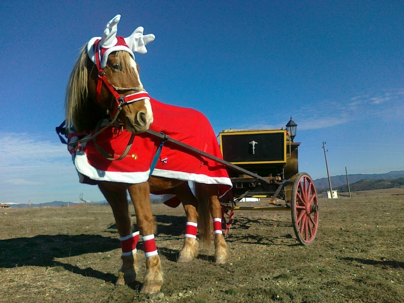 Дядо Коледа идва с конете от Периволас
