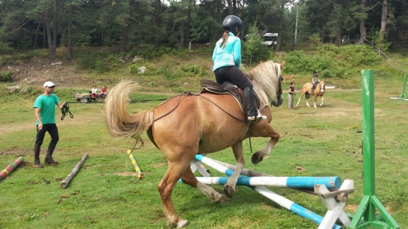 Лагер по конна езда за деца 
"Райска градина" 2015

